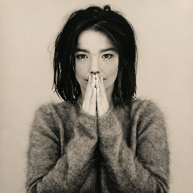 Bjork - Human Behaviour