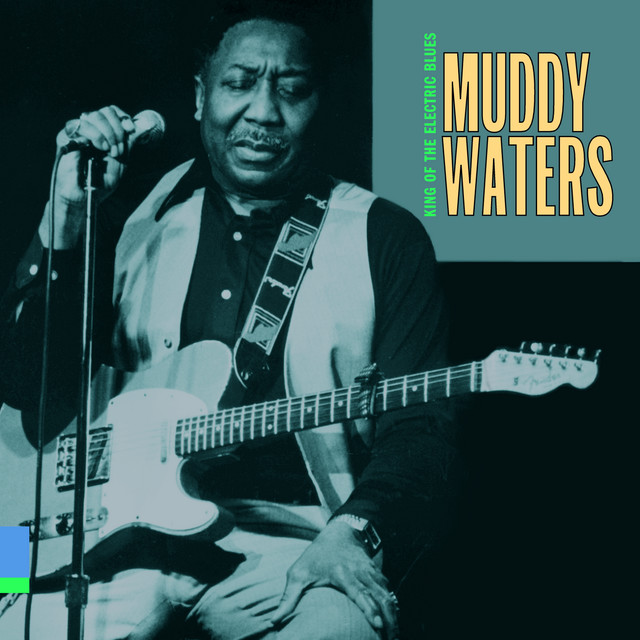 Muddy Waters - Mannish Boy