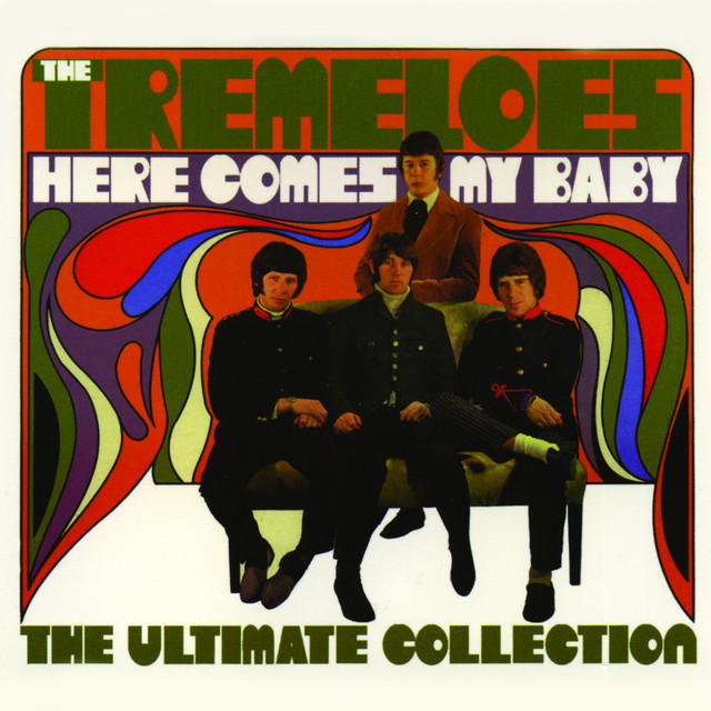 The Tremeloes - I Like It That Way