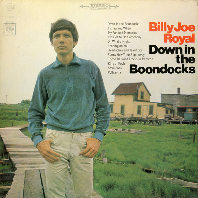 Billy Joe Royal - Down In The Boondocks