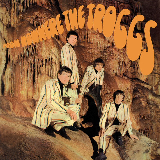 The Troggs - Night Of The Long Grass