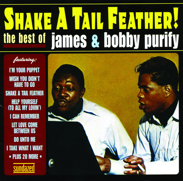 James & Bobby Purify - I`m Your Puppet