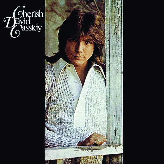 David Cassidy - I Am A Clown