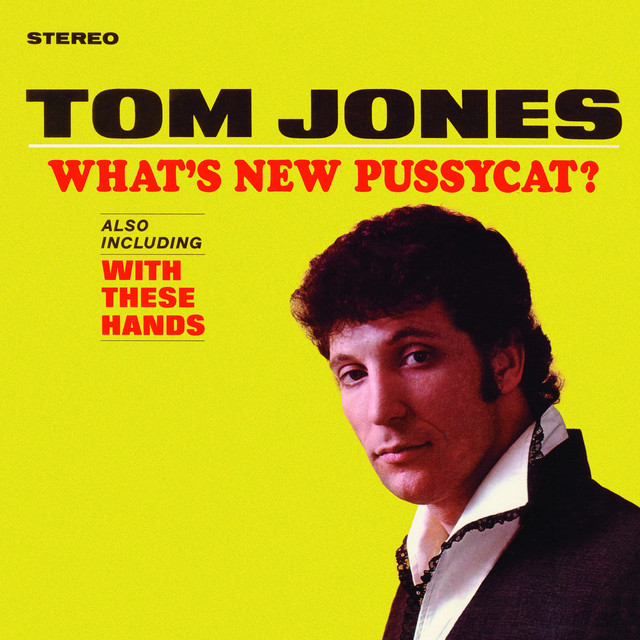 Tom Jones - What`s New Pussycat?