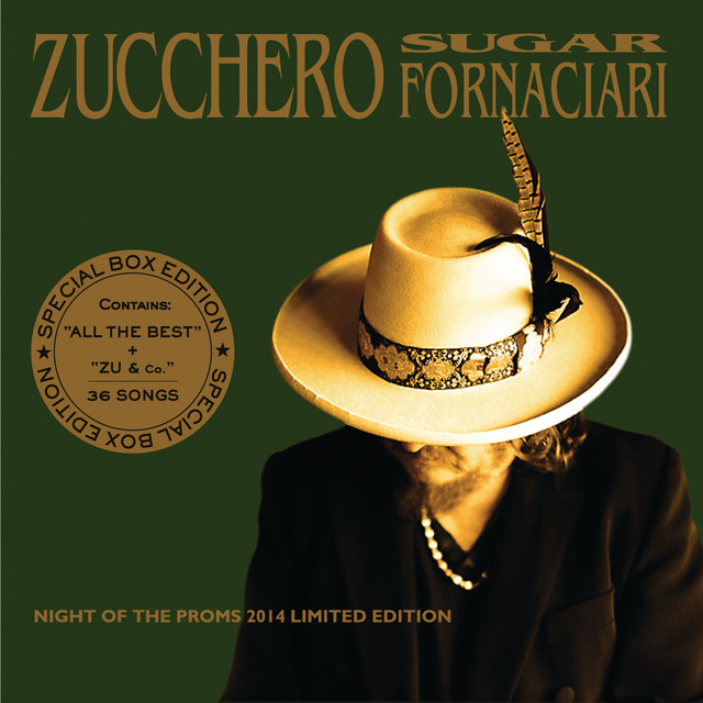 Zucchero Sugar Fornaciari & Paul Young - Senza Una Donna (without A Woman)