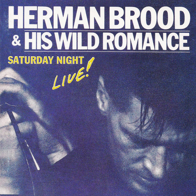Herman Brood & His Wild Romance - Sleepin Bird