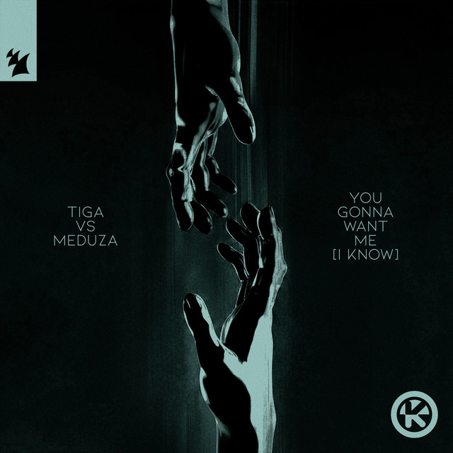Tiga - You Gonna Want Me