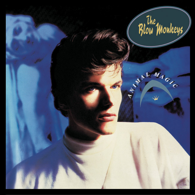 The Blow Monkeys - Digging Your Scene