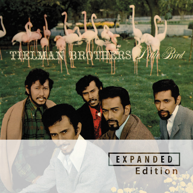 The Tielman Brothers - Little Bird