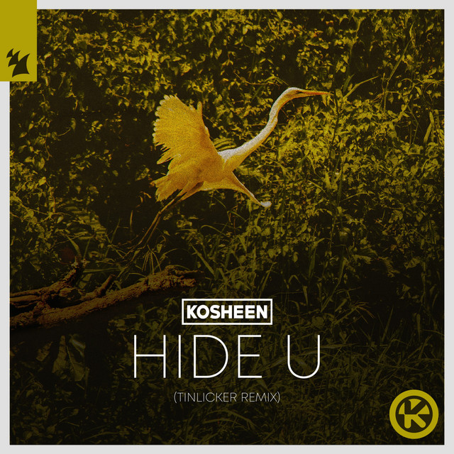Kosheen - Hide U