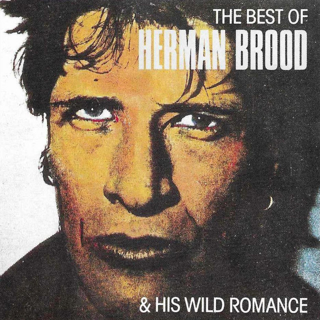 Herman Brood & His Wild Romance - Never Be Clever