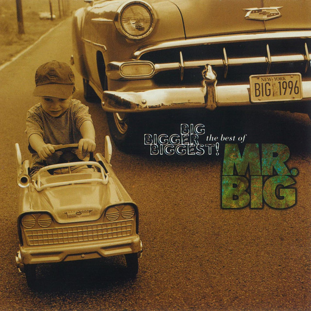 Mr. Big (USA) - Wild World