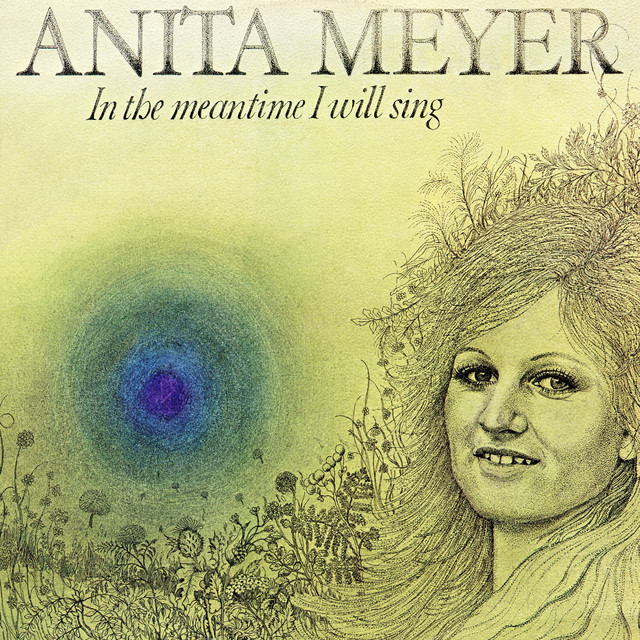 Anita Meyer - The Alternative Way