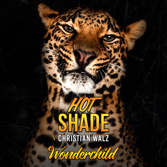 Christian Walz - Wonderchild