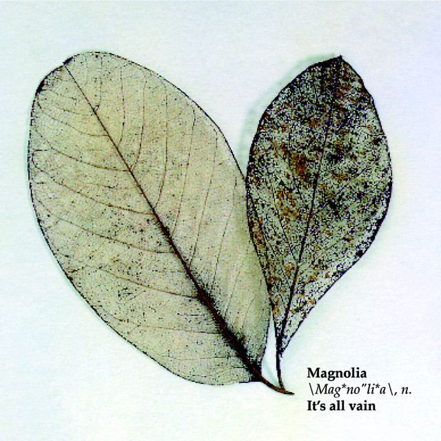 Magnolia - It`s All Vain