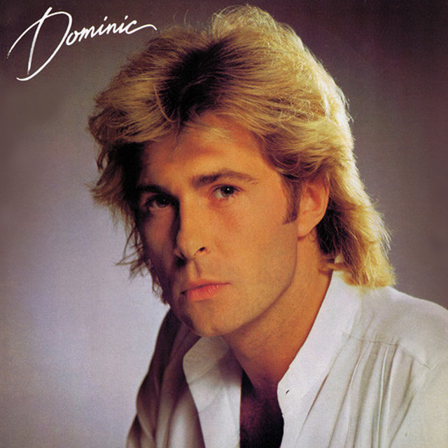 Dominic - I Won`t Let Me Down