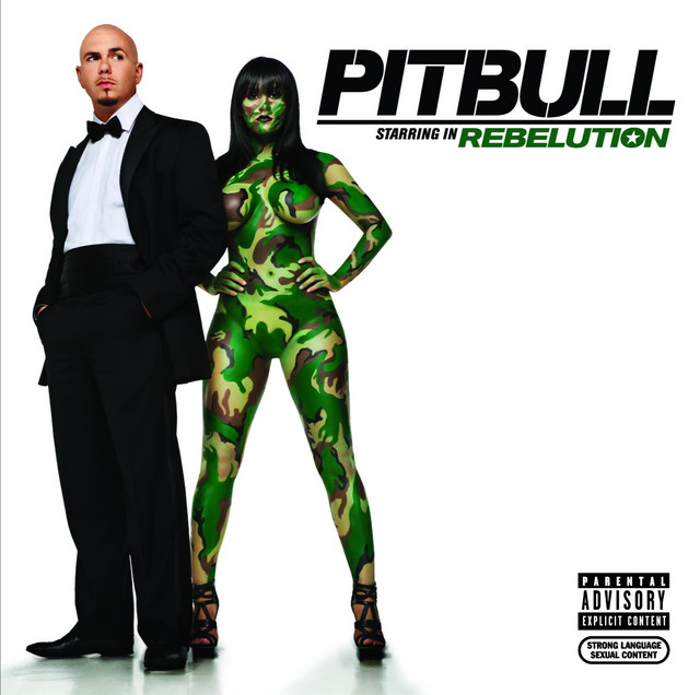 Pitbull - I Know You Want Me (calle Ocho)