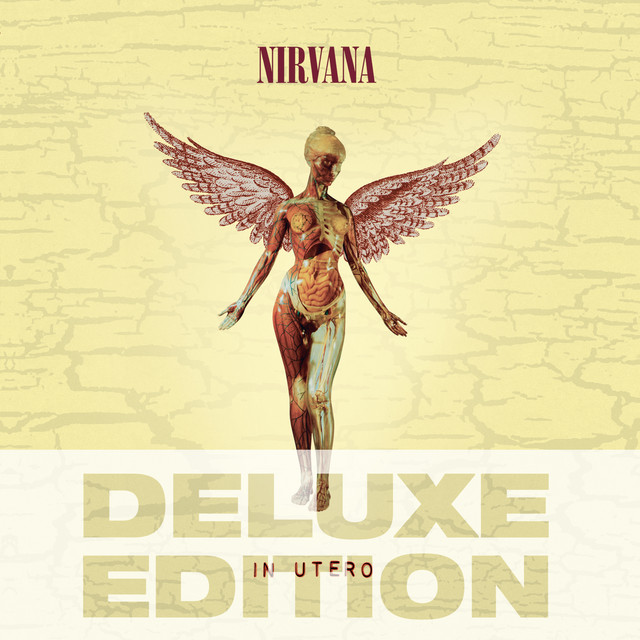 Nirvana (USA) - Heart-shaped Box