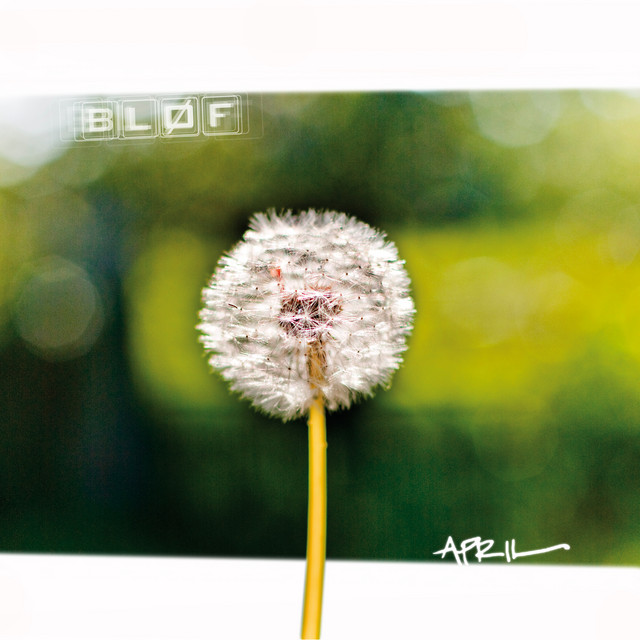 Blof - Vandaag