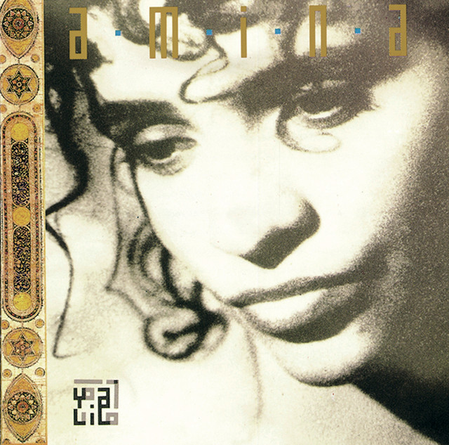 Amina - Le Dernier Qui A Parle...