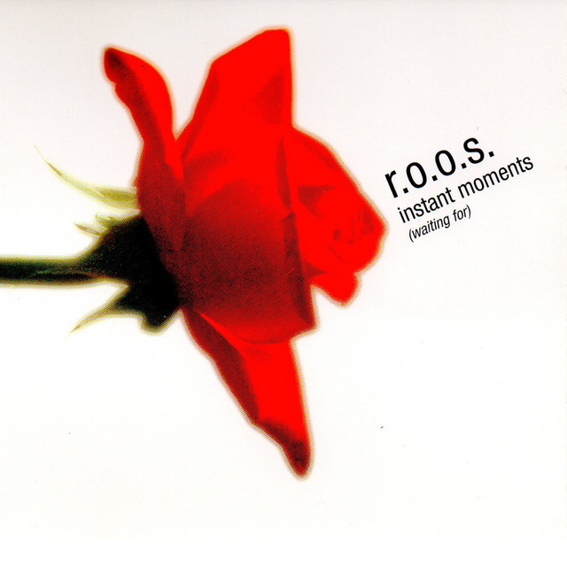 R.O.O.S. - Instant Moments (waiting For)