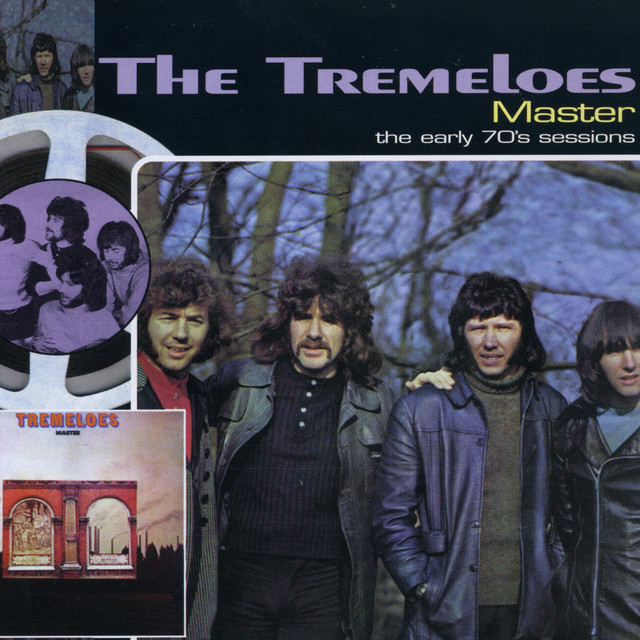 The Tremeloes - Hello Buddy