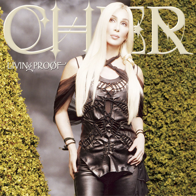 Cher - The Music`s No Good Without You