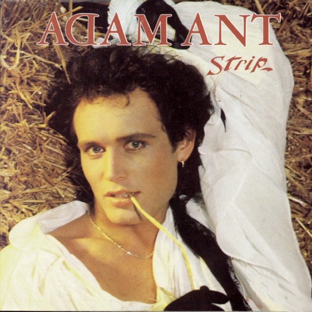 Adam Ant - Puss `n Boots