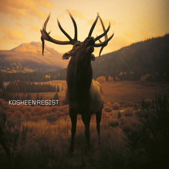 Kosheen - Catch