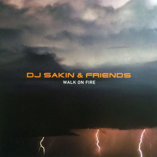 DJ Sakin & Friends - Protect Your Mind (braveheart)