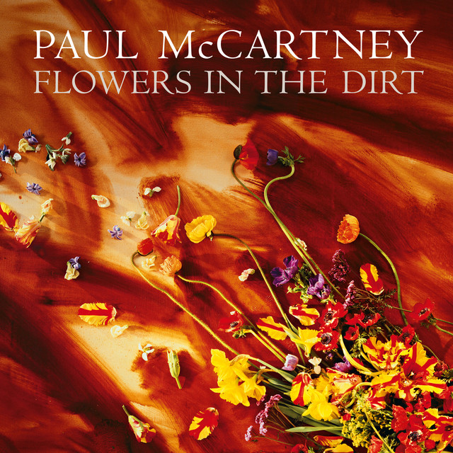 Paul McCartney - My Brave Face
