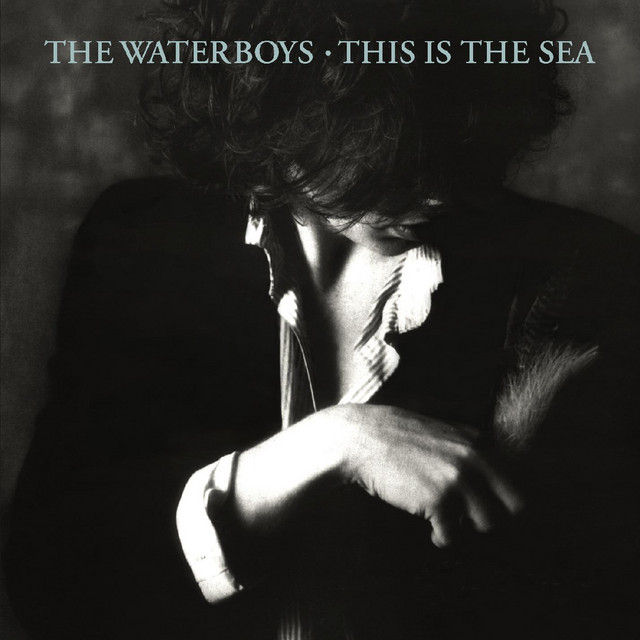 The Waterboys - The Whole Of The Moon