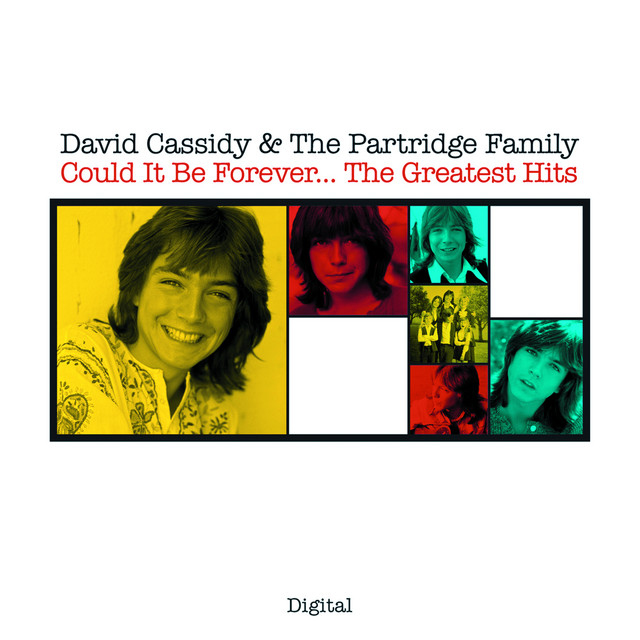 The Partridge Family - Looking Through The Eyes Of Love