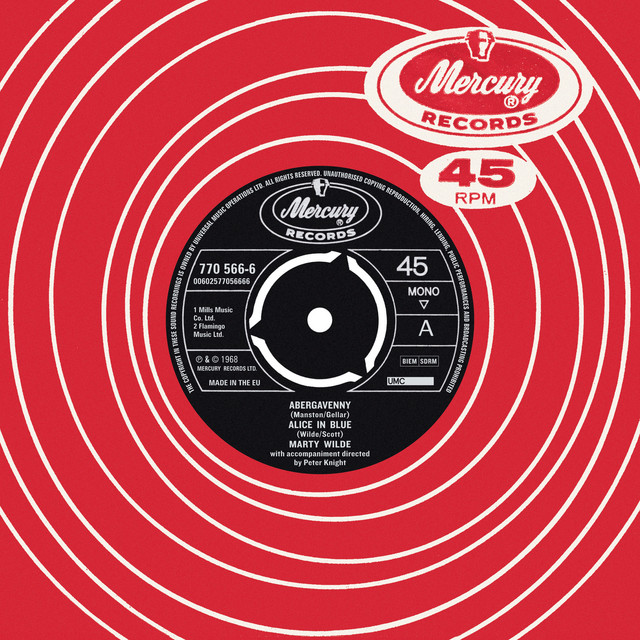 Marty Wilde - Abergavenny