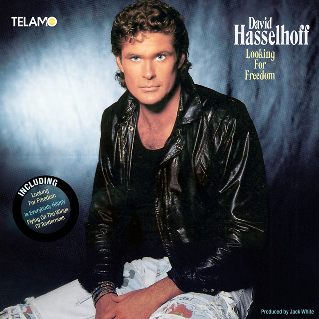 David Hasselhoff - Looking For Freedom